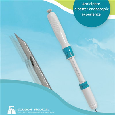 Endoscopic Ultrasound Needle