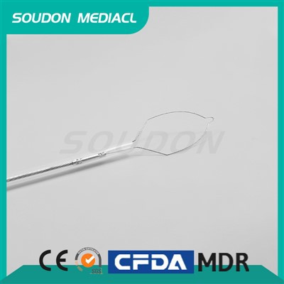 Polyp Cold Snare
