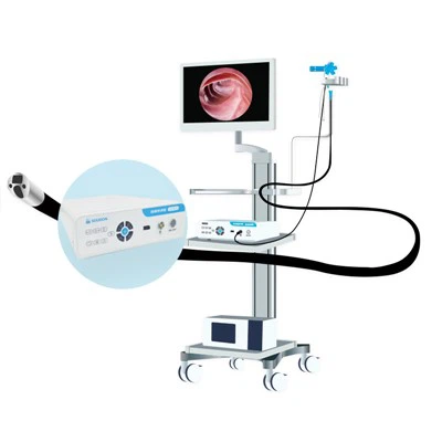 Disposable Flexible Choledochoscope